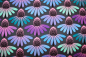 Preview: Designer-Baumwollstoff Echinacea Glow Amethyst (10 cm)